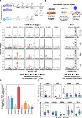 Three doses of BNT162b2 COVID-19 mRNA vaccine establish long-lasting CD8+ T cell immunity in CLL and MDS patients